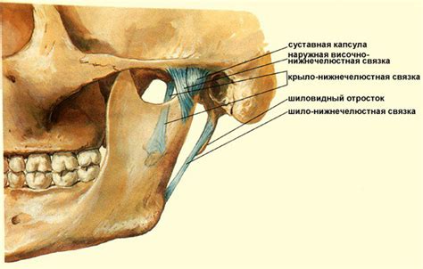 Переломы и боль в челюстном суставе